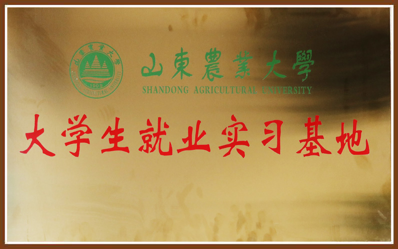 优德W88(中国集团)官方网站