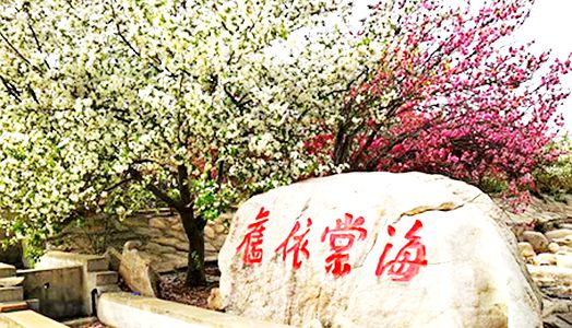 优德W88(中国集团)官方网站