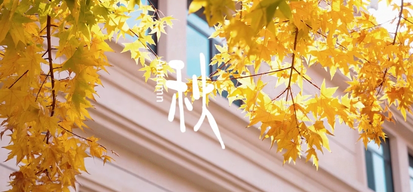 优德W88(中国集团)官方网站