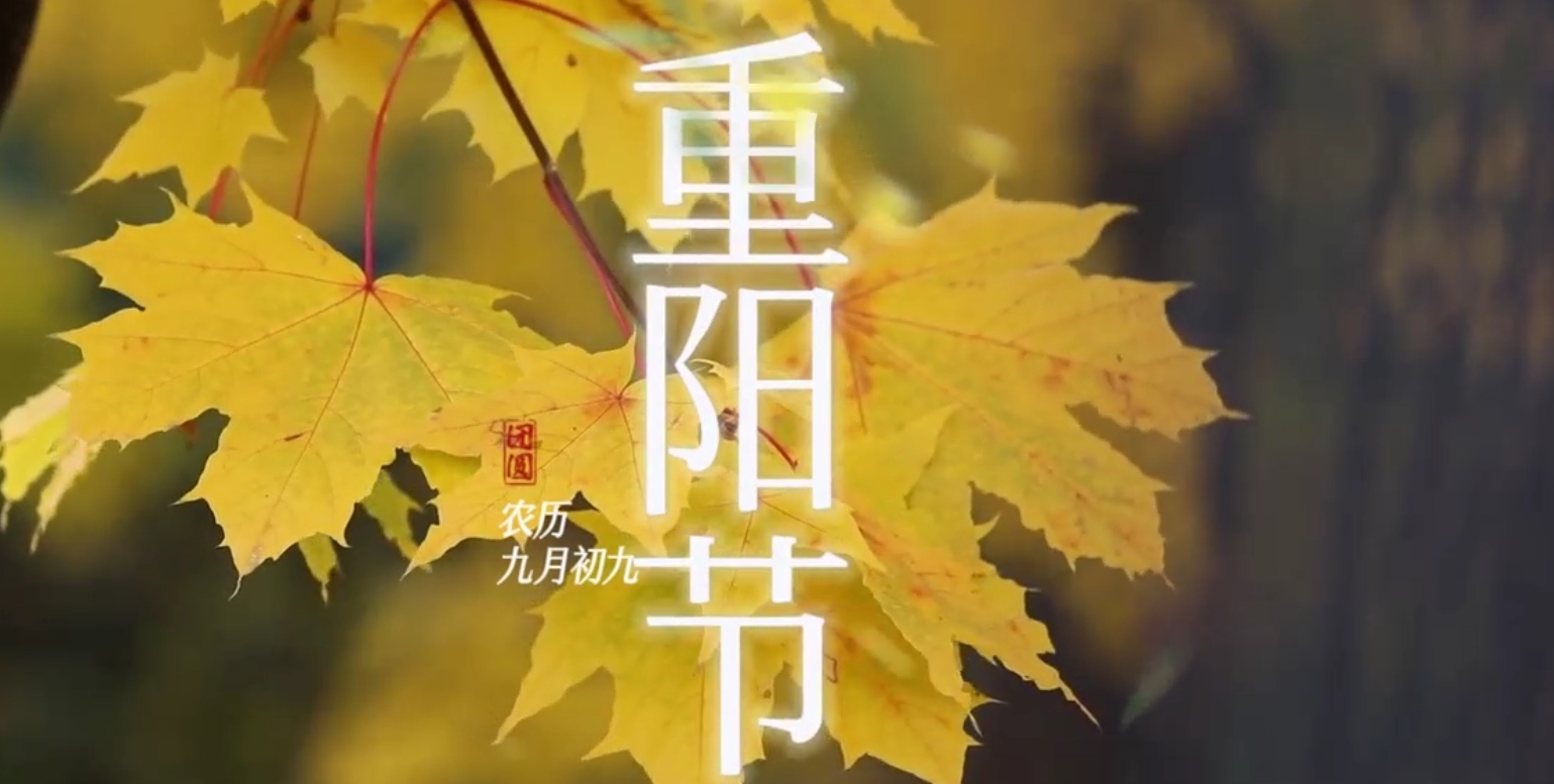 优德W88(中国集团)官方网站