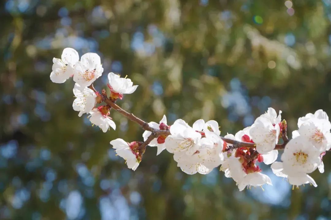 优德W88(中国集团)官方网站