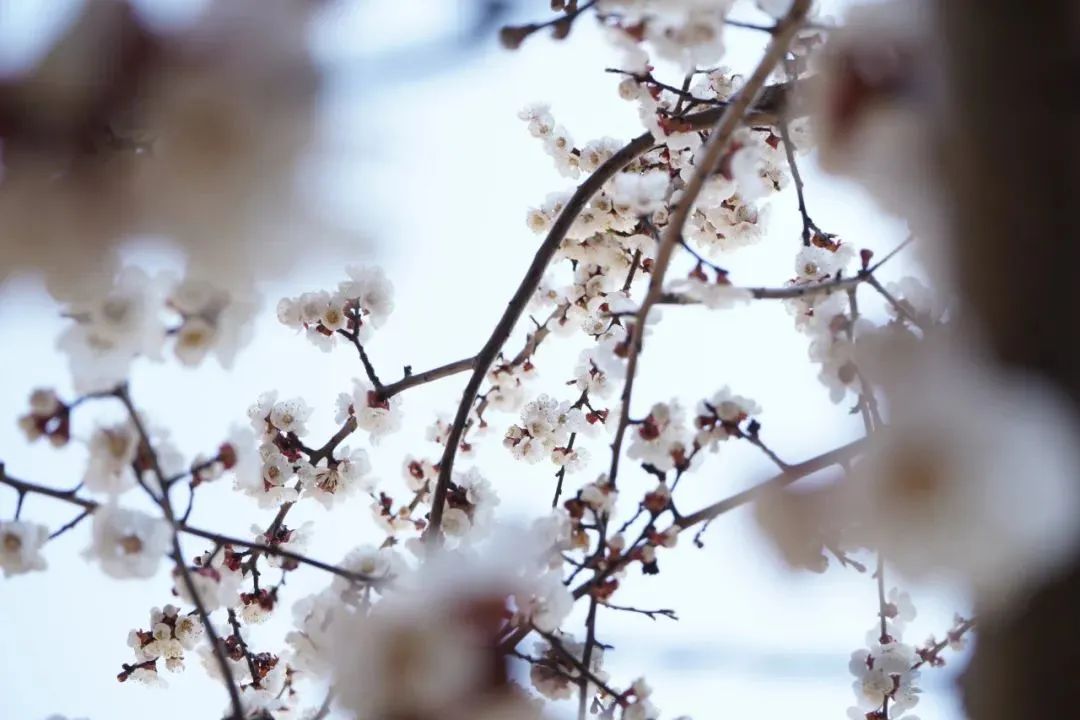 优德W88(中国集团)官方网站