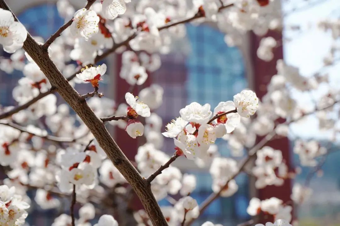 优德W88(中国集团)官方网站