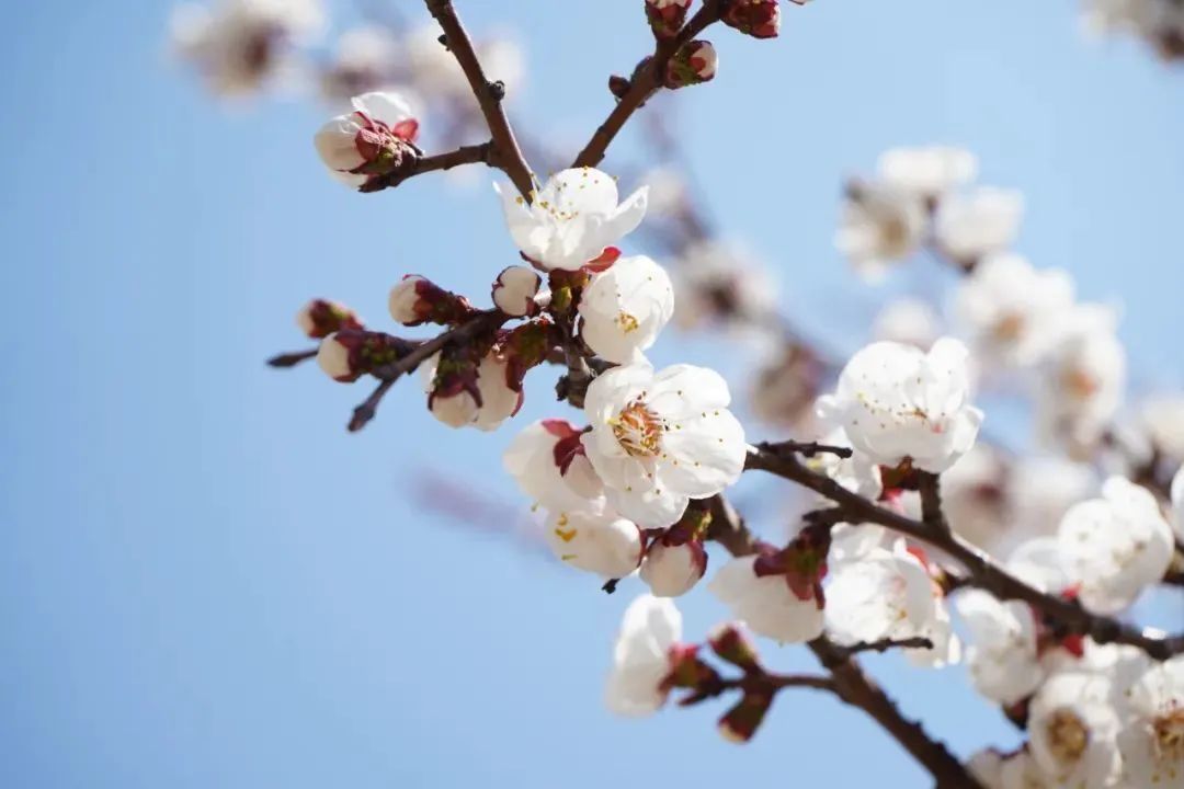 优德W88(中国集团)官方网站