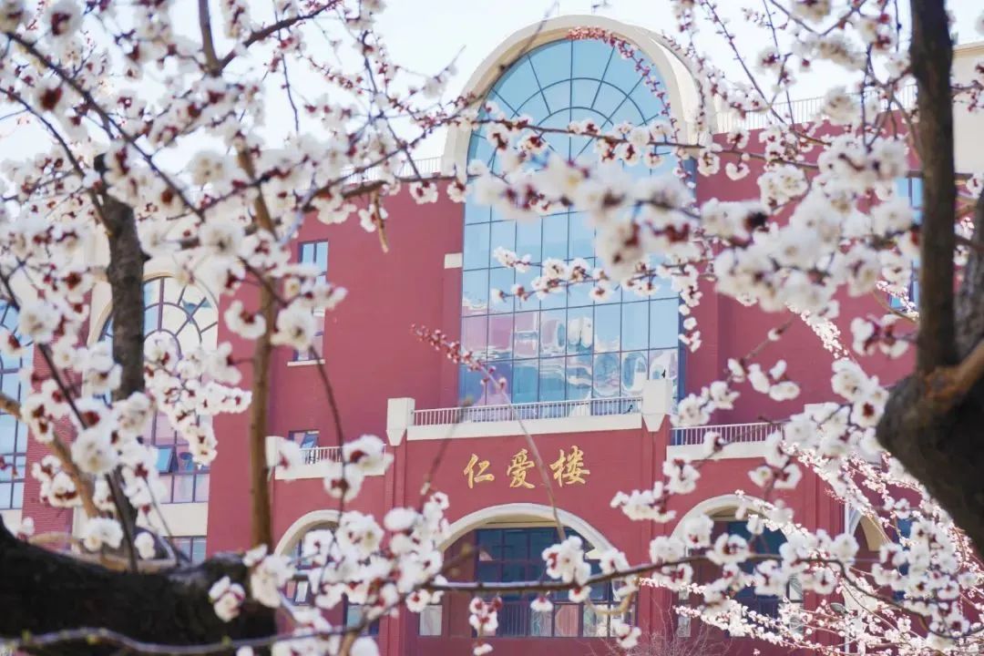 优德W88(中国集团)官方网站