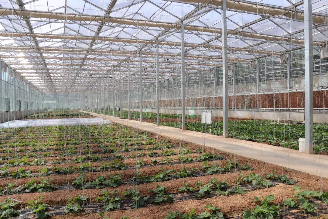 优德W88(中国集团)官方网站