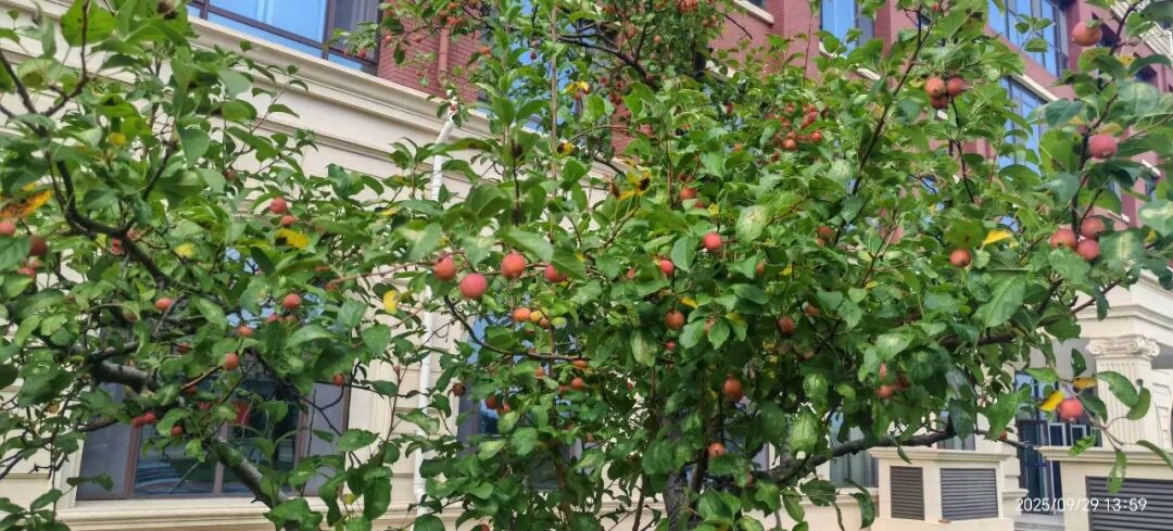 优德W88(中国集团)官方网站