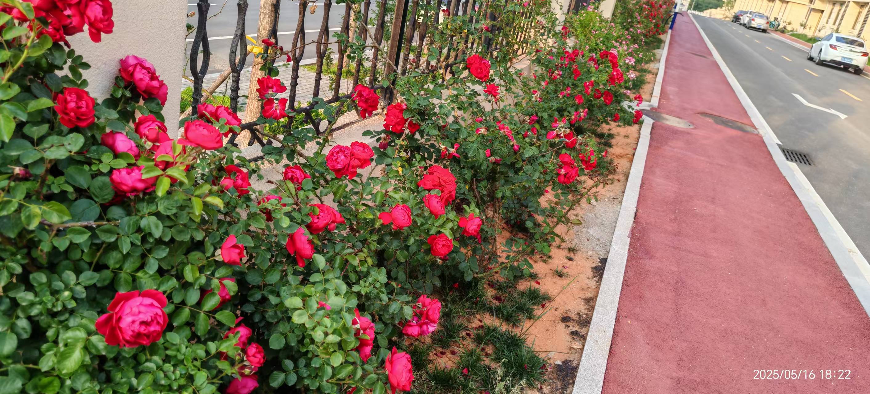 优德W88(中国集团)官方网站